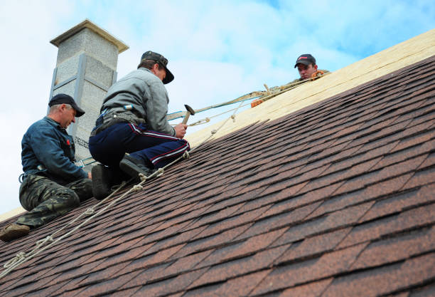 Best Emergency Roof Repair  in Delavan, IL