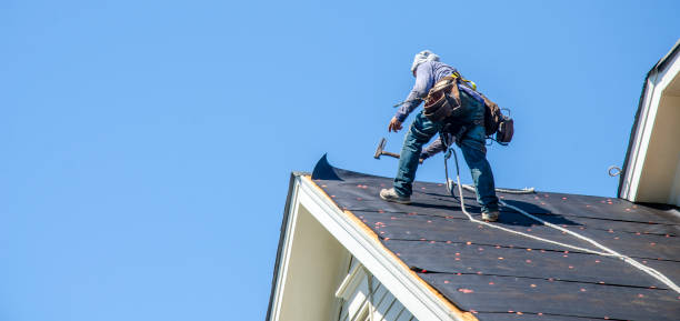 Best Roof Gutter Cleaning  in Delavan, IL